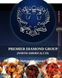 Premier Diamond Group Looks at the Origin and Value of Black Diamonds